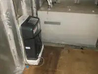 ફેરી જહાજ વેચાણ માટે