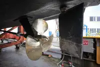 ફેરી જહાજ વેચાણ માટે