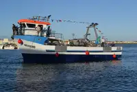 ટોવબોટ વેચાણ માટે