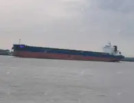 બલ્ક કેરિયર વેચાણ માટે