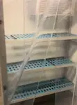 ક્રૂઝફેરી વેચાણ માટે