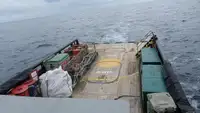 પેટ્રોલ બોટ વેચાણ માટે