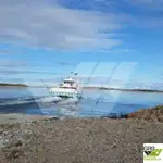 રો-રો જહાજ વેચાણ માટે