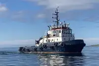 ટોવબોટ વેચાણ માટે