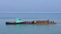 વર્ક બોટ વેચાણ માટે