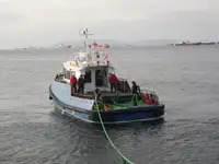 ટોબોટ વેચાણ માટે