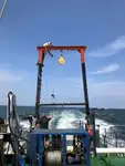 વર્ક બોટ વેચાણ માટે