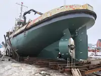 ટોવબોટ વેચાણ માટે