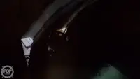 ટ્રોલર વેચાણ માટે