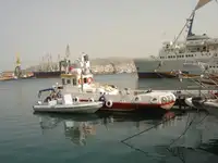 વર્કબોટ વેચાણ માટે
