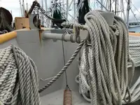 ટ્રોલર વેચાણ માટે