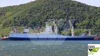 Ro-Ro ship વેચાણ માટે