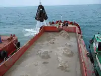 બાર્જ વેચાણ માટે