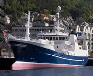 Purse seiner વેચાણ માટે