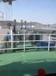 ડ્રેજર વેચાણ માટે