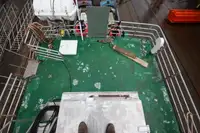 ફેરી જહાજ વેચાણ માટે