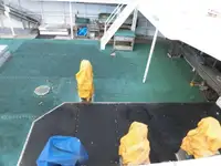 ટ્રોલર વેચાણ માટે