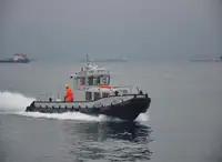 ટોબોટ વેચાણ માટે