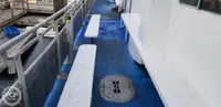 કેટામરાન વેચાણ માટે