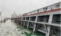 બલ્ક કેરિયર વેચાણ માટે
