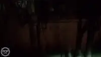 ટ્રોલર વેચાણ માટે
