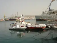 વર્ક બોટ વેચાણ માટે