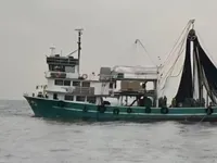 પર્સ સીનર વેચાણ માટે