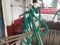 ટ્રોલર વેચાણ માટે