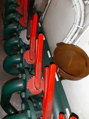 ટ્રોલર વેચાણ માટે