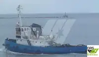 ટોવબોટ વેચાણ માટે