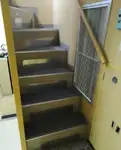 પાયલોટ બોટ વેચાણ માટે