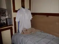 પેટ્રોલ બોટ વેચાણ માટે