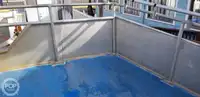 કેટામરાન વેચાણ માટે