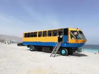 એમ્ફિબિયસ વેચાણ માટે