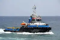 ટોવબોટ વેચાણ માટે