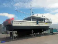 લોંગલાઇનર વેચાણ માટે