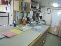 પેટ્રોલ બોટ વેચાણ માટે