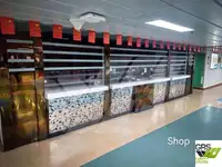 રો-રો જહાજ વેચાણ માટે