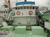 લોંગલાઇનર વેચાણ માટે