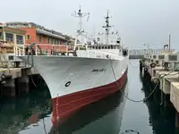 ટ્રોલર વેચાણ માટે