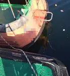 પાયલોટ બોટ વેચાણ માટે