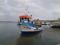 ટોબોટ વેચાણ માટે