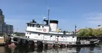 ટોવબોટ વેચાણ માટે