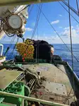 Purse seiner વેચાણ માટે