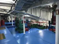 Ro-Ro ship વેચાણ માટે