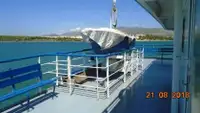Ro-Ro ship વેચાણ માટે