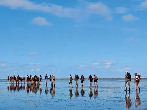 બાર્જ વેચાણ માટે