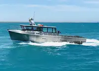 વર્ક બોટ વેચાણ માટે
