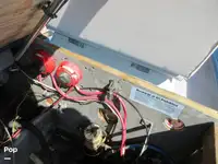 ક્રૂઝફેરી વેચાણ માટે