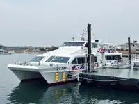 પેસેન્જર જહાજ વેચાણ માટે